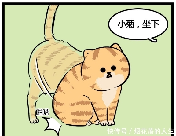 不好|搞笑漫画：原来这个世上真的有遭猫嫌体质，萌猫的心不好懂啊！