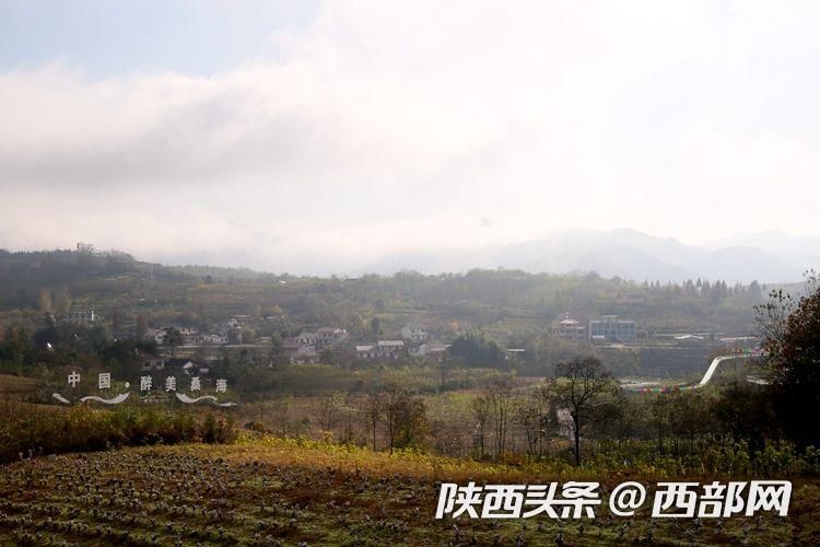 池河镇|石泉：桑园变景点 旧宅变民宿 好风景带来“好钱景”