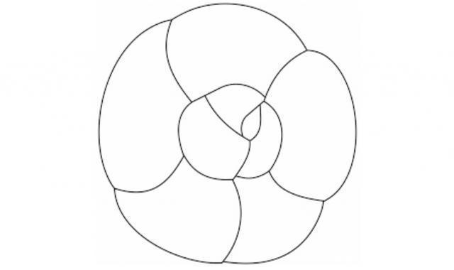 香奈儿又申请到素描山茶花商标,过程并不容易