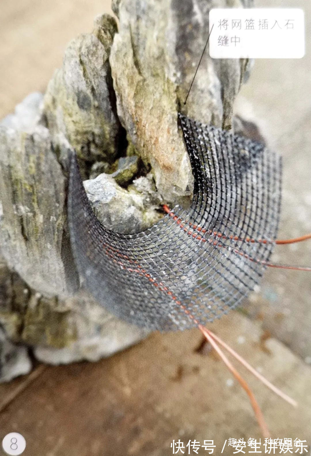 山水盆景不是非“水”不可，看山石与树木如何演绎一道山水盆景！