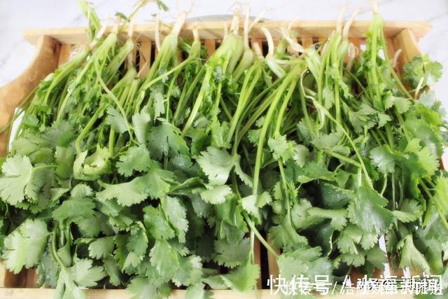 保存香菜不用放冰箱，也别晒干，教您一招，放一个月都不坏