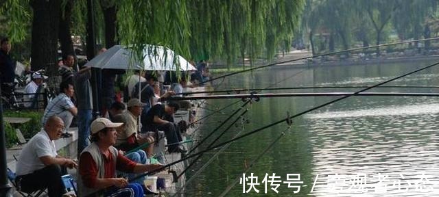 饵料|野钓鲤鱼螺鲤、九一八、蓝鲫的搭配方式，合理搭配效果更好！