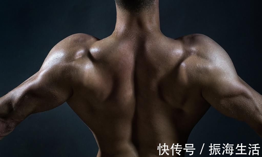 蛋白粉|大猩猩不吃牛肉，不喝蛋白粉，为什么肌肉比健美选手还生猛