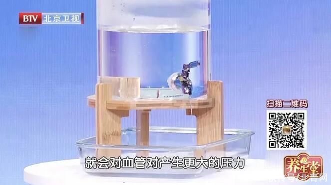 高血压|为什么肥胖患者更容易合并高血压？