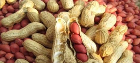 女性想要身體好，常吃3種食物，可降壓減脂，預(yù)防子宮早衰