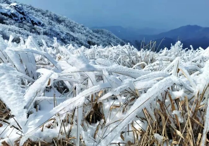 雾凇|绝了！天台冬季美景，宛如冰雪世界！一天看8小时都不够!