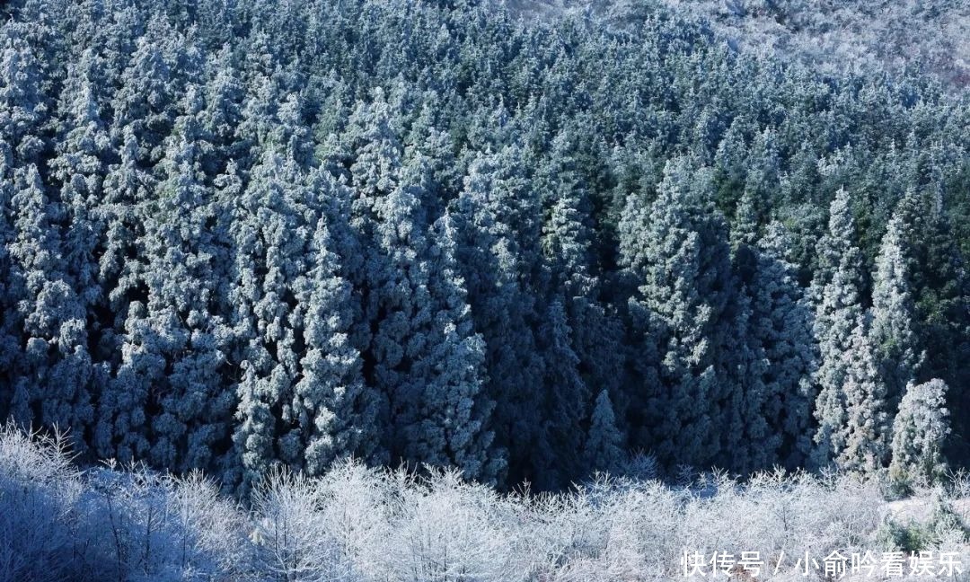 雪景|遂昌大美雪景图！让你一次看个够