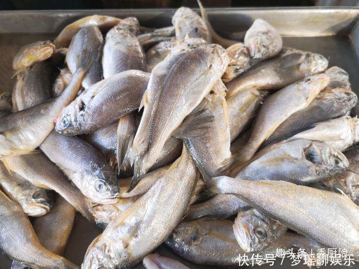 带鱼|过年吃鱼,就买此3种鱼,到现在也没法人工养殖,便宜吃着还放心