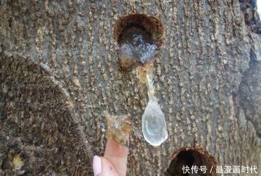 卵巢|气血足的女人老得慢！常吃4种“碱性食物”，补足气血保养卵巢