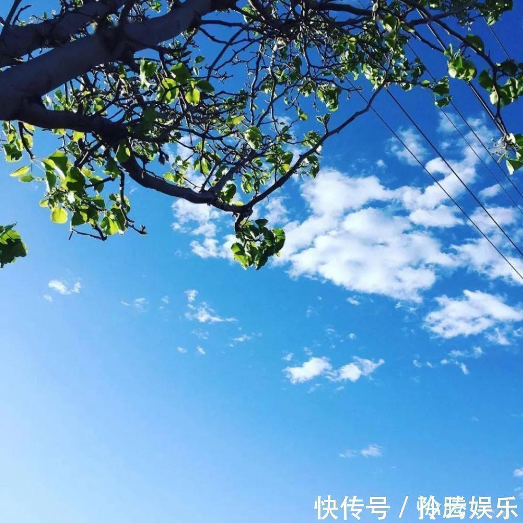 阿姨|55岁不结婚,晒房间引100万人点赞生活好不好,看卧室就知道