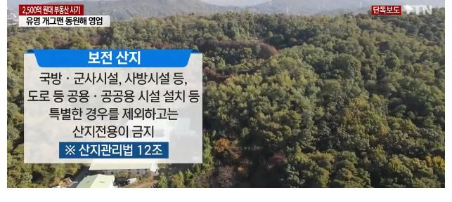 安秀美|少女时代泰妍被土地诈骗损失11亿！网友却讽刺她是投机失败