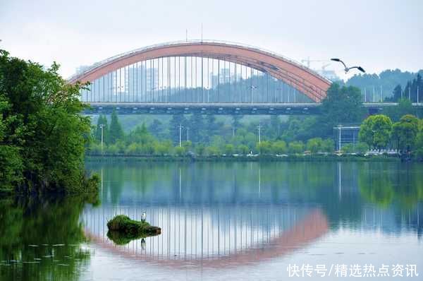 来生态观山湖，看看这里的鸟你都见过吗？