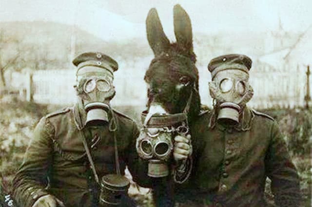 十九路军|镜头下真实的日本鬼子，图3跪地打磨屠刀的女鬼子，图5在故宫接受日军投降