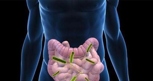 中年人饭后就想大便别掉以轻心，你有可能被疾病“盯上了”