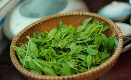 食物|長壽老人最愛吃三種食物，美容養(yǎng)生，滋潤肌膚，早吃早好！