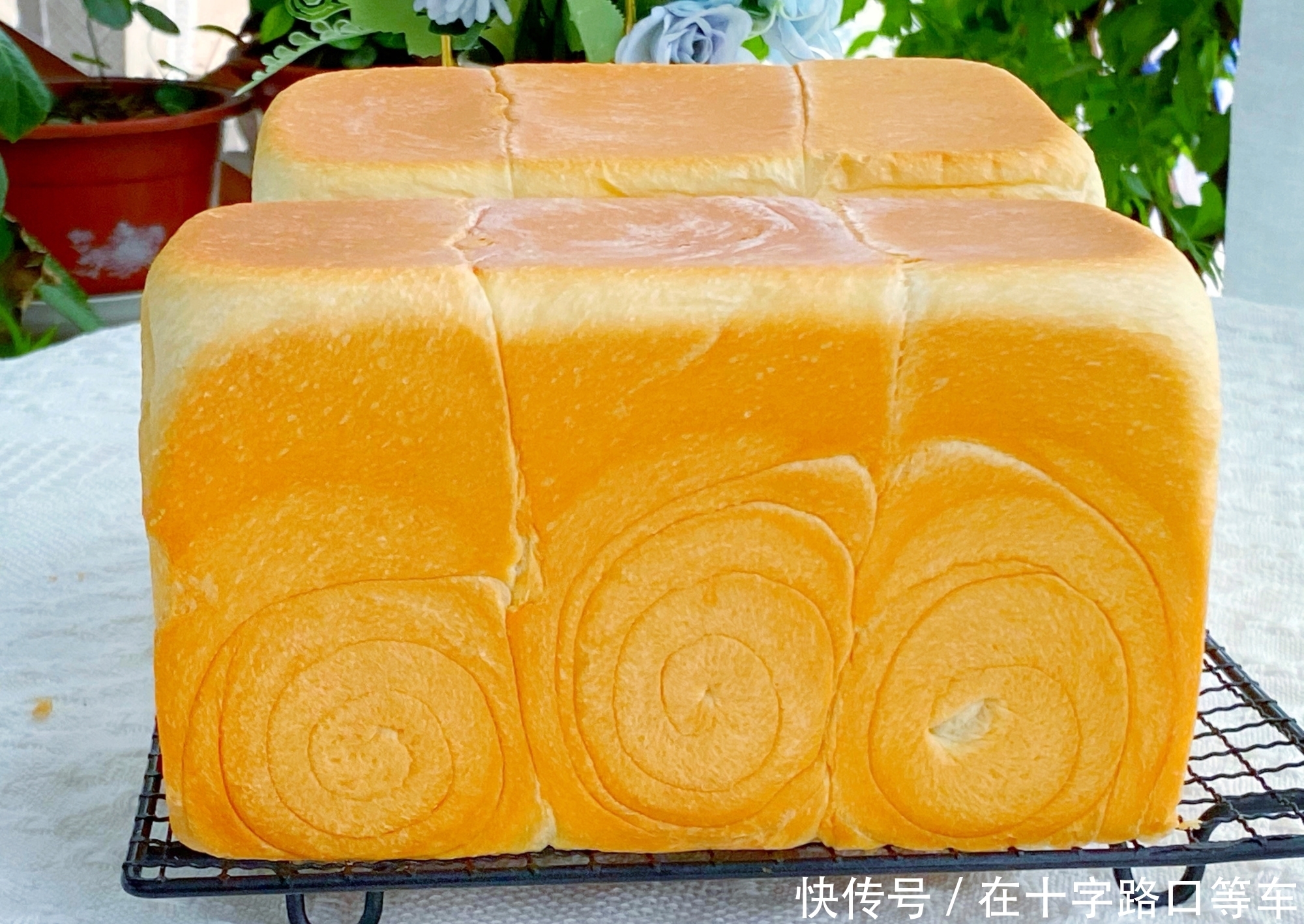 面团|自制吐司不好吃?试试此方法,1次发酵简单省事,奶香十足又美味