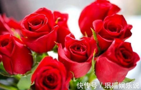 “珍稀玫瑰”卡罗拉,标准玫瑰红,高贵优雅,非常值得拥有