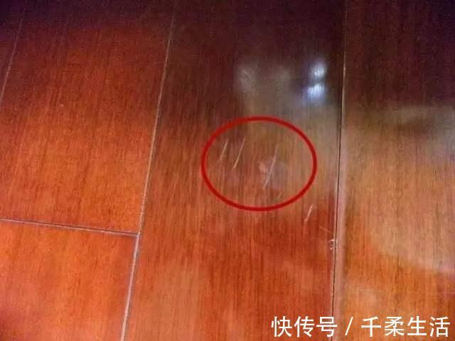 真金|掏心窝子说10条装修错误,每1条都是用真金白银砸出来的!很真实