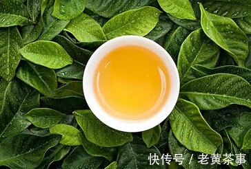 黄茶|这六种茶伤胃，胃不好少喝