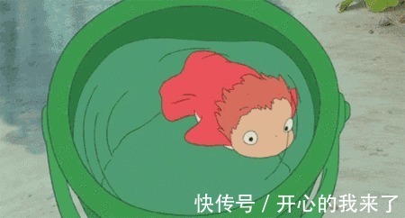 |搞笑段子,神回复,让你神清气爽(二)