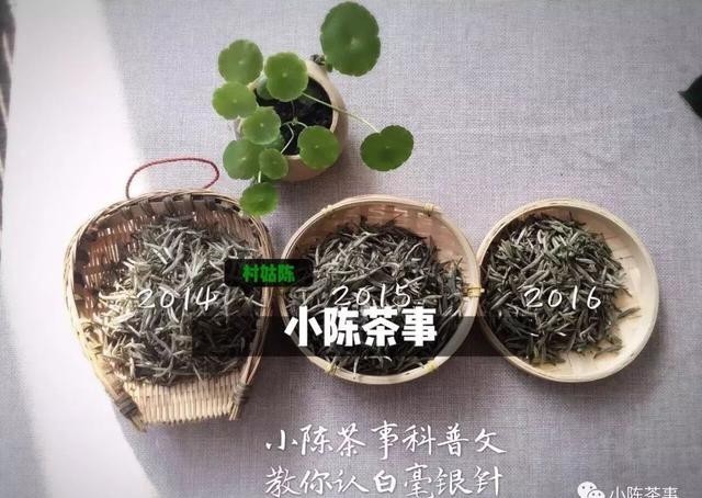 味道|日常知识科普,老白茶味道淡些好,还是浓些好?
