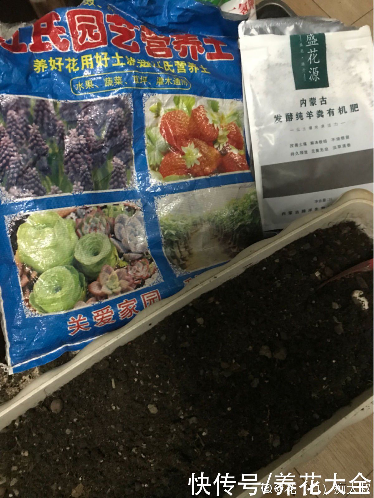 多肉|养花8年，总结出6个“坑”，早看早避开