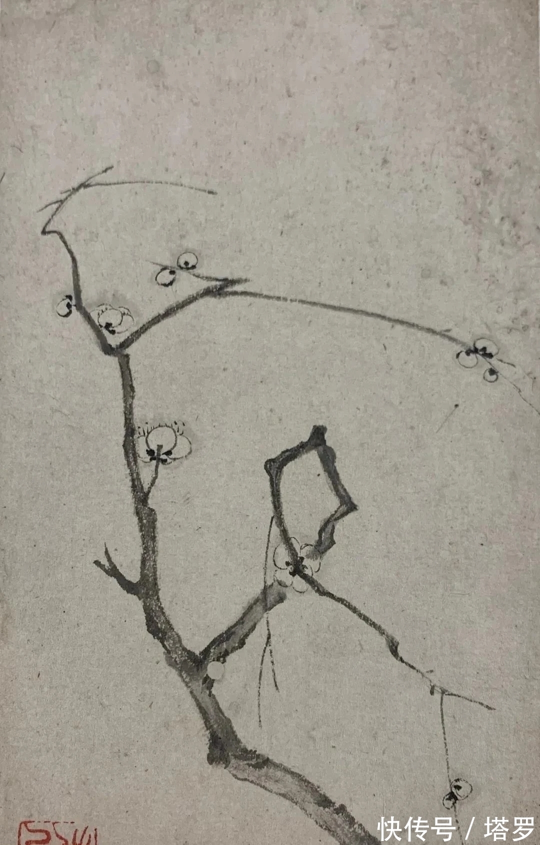 江画梅@他的山水画面貌来源于铁骨冰心的梅花|渐江画梅