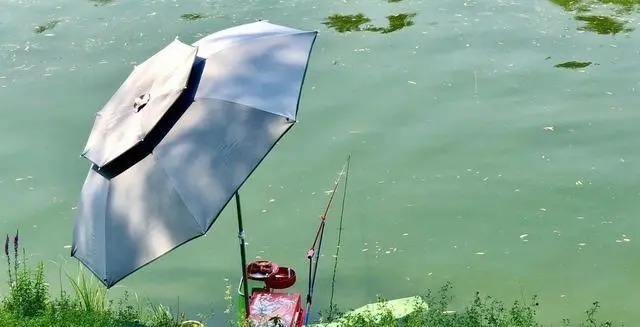 寒露前后钓鱼,唯独这套野钓法最管用