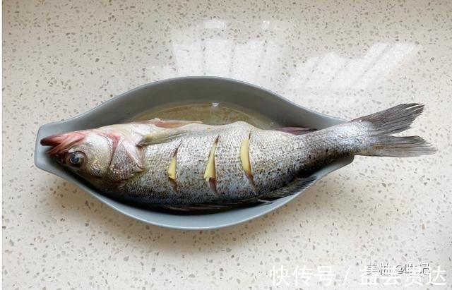 清蒸|年夜饭不能少了吃鱼,清蒸是对鱼的最大尊重,轻松学会