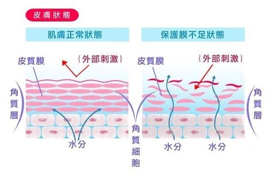 油皮|皮肤油脂分泌过剩怎么办？看完之后我决不允许你再油光满面