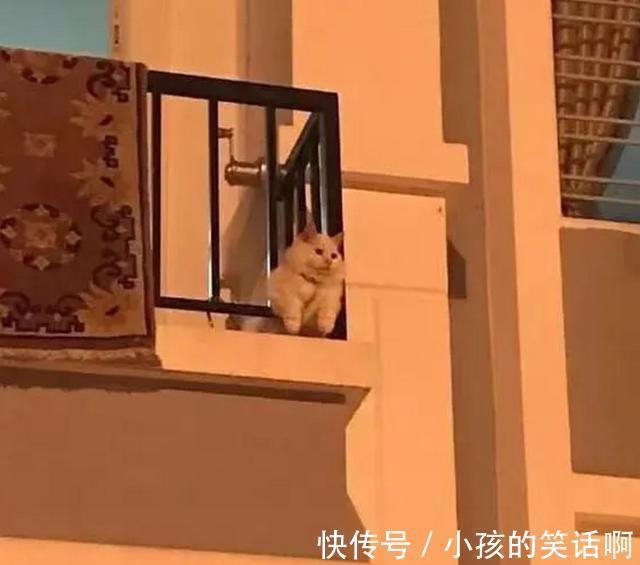 |在游乐场你见过哪些搞笑的设施?网友:这算吗,哈哈