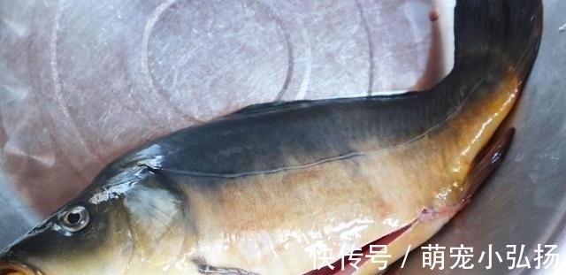 三道鳞|这鱼在北方很常见,一斤12元,肉多刺少,炸好一红烧,吃着真解馋
