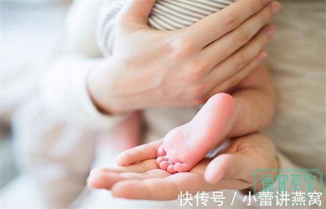 孕妇|为什么医生不建议孕妇吃燕窝?燕窝不是好东西吗