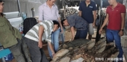 上山|男子上山砍柴捡到“一大片灵芝”,带回家爷爷仔细瞧后,汗毛直立