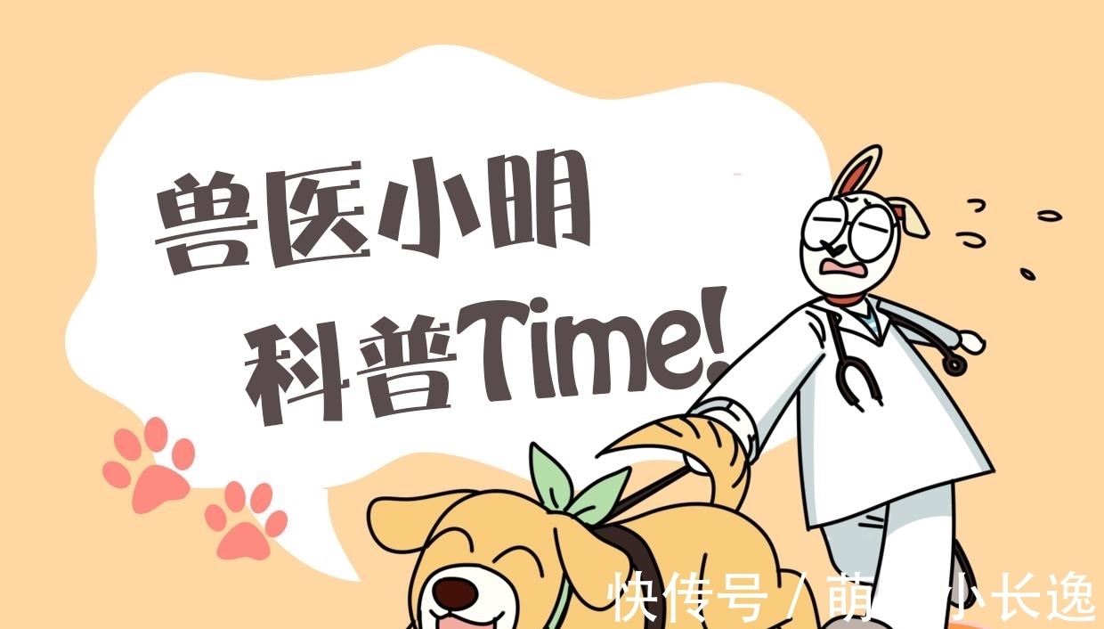 赚钱|买了观赏鱼回家，隔天去看时心里美滋滋的：感觉找到赚钱的渠道了
