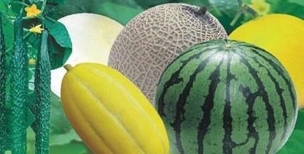 转告家人:3样“隔夜菜”,可以放心吃,别当垃圾扔掉浪费了!