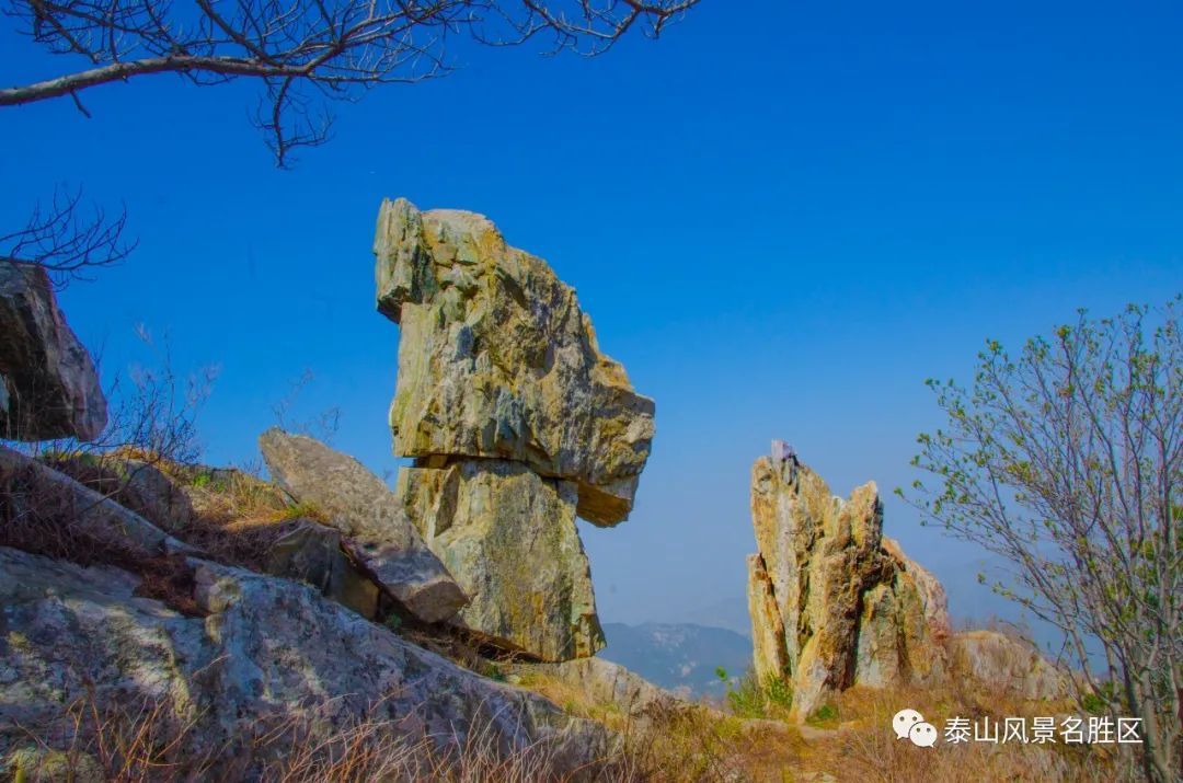 春红|林花谢了春红，醉染流年