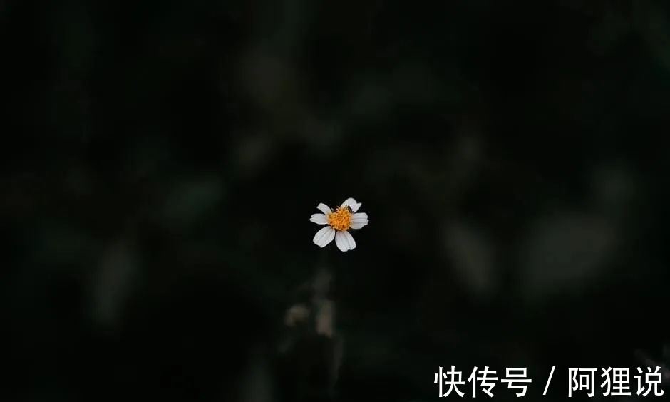 千山鳥$柳宗元最孤獨(dú)的一首詩(shī),人至中年,我終于看懂了!