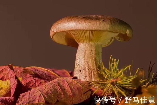 蔬菜|药补不如食补,日常蔬菜功效一览表!您的体质该吃什么一目了然!