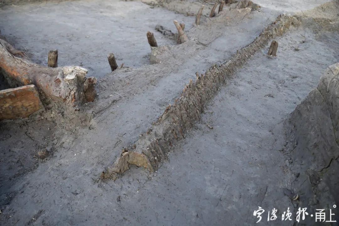  2号护岸|罕见！宁波又有重大发现！