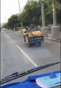 |搞笑GIF:现在白素贞伙食都这么好了?