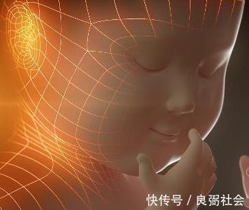 大脑皮层|孕晚期是胎儿期大脑发育高峰期,孕妈秉承三原则,可为胎儿补脑