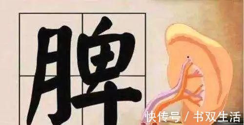 茯苓|松树根上有一物,被李时珍誉为“仙家上物”,4吃5不吃,值得注意