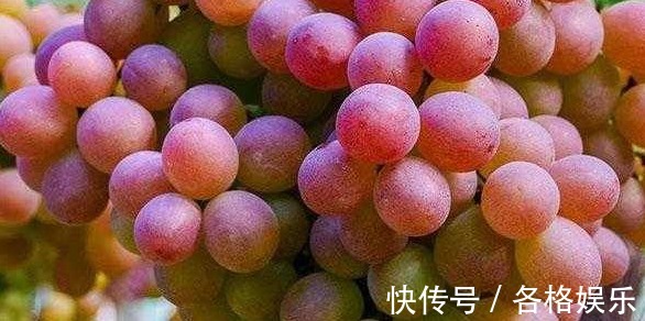 明目|想要长寿,坚持吃四种食物,润肤美容,补钙明目,谁吃谁受益