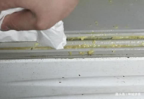 冰箱胶条脏了，发黑长霉斑教你一招，不撒一滴水，焕然如新！