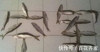 钓鱼|不能钓鱼的8个原因都很吸引人总是有一个适合你的
