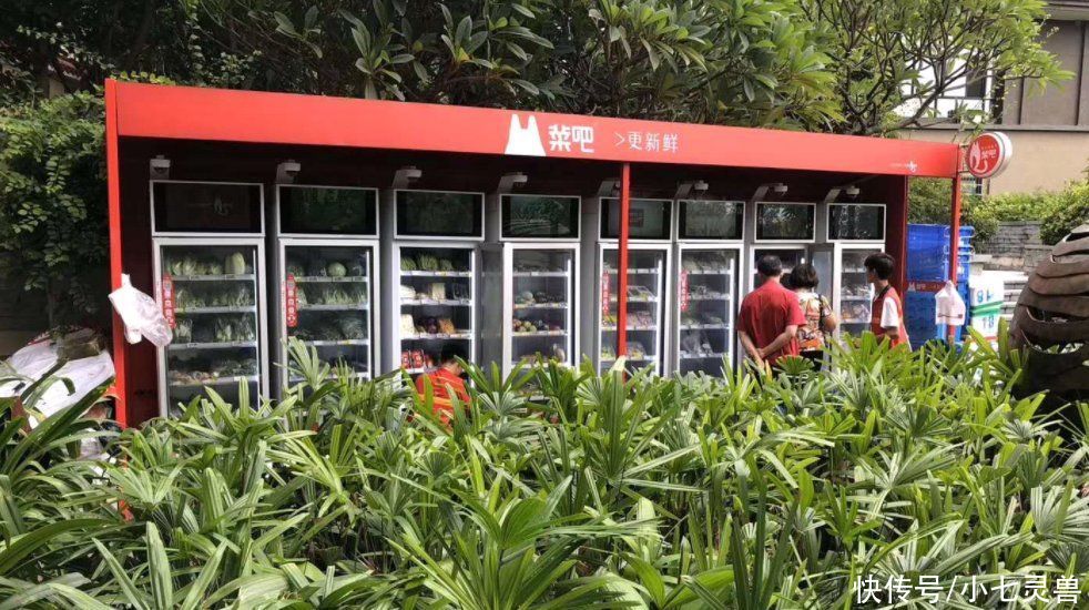 社区|小七灵兽｜那些活跃在社区一线的无人零售业务