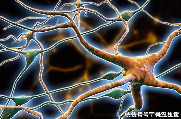 老人|老人瘦才更长寿？医生：60岁以后，体重在这个范围内才健康