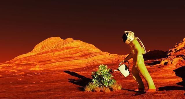 生命 如果将真菌生物放置在火星上,若干年后,它会演化出生命吗