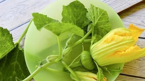 排毒养颜|长寿老人爱吃的食物,排毒养颜、滋补身体,延缓衰老,更显年轻